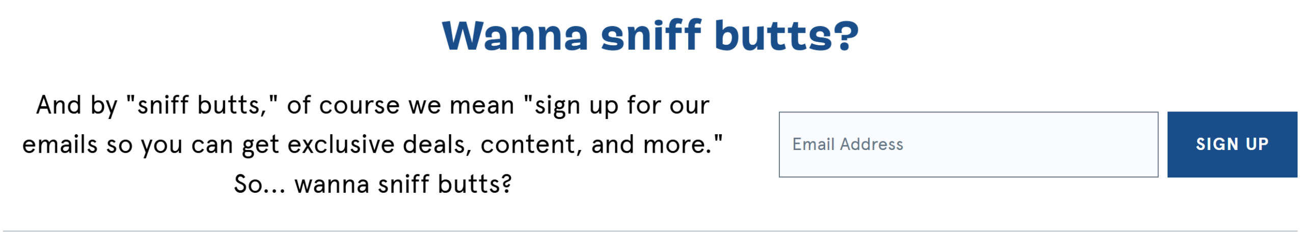 Copywriting, opt-in form with incentives, Geri Mileva